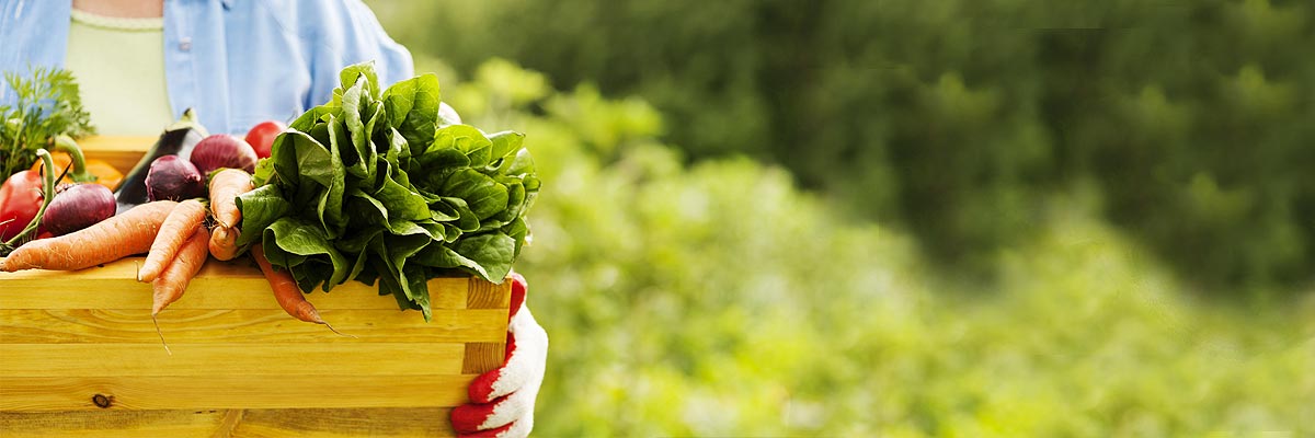 ritiro spesa con il gg-gest